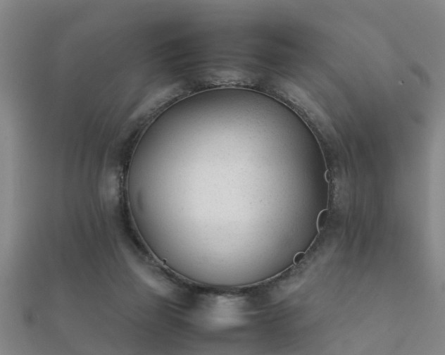 X0000112050165200908111358