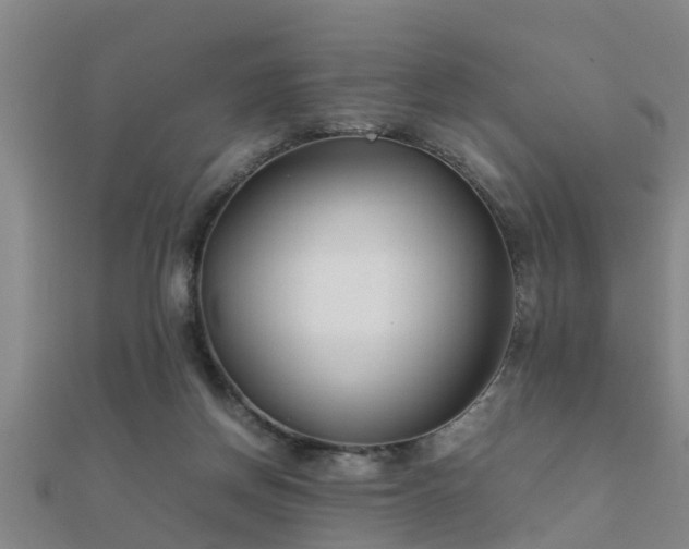 X0000112050166200908111358