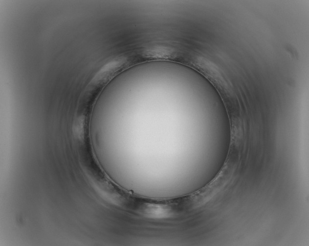 X0000112050167200908111358