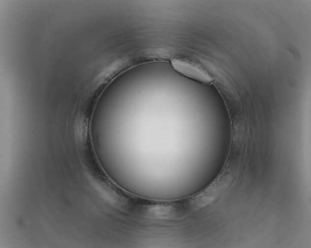 X0000112050168200908111358