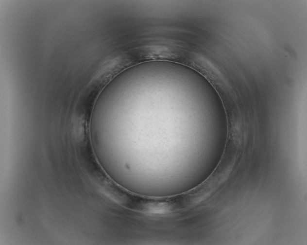 X0000112050169200908111358