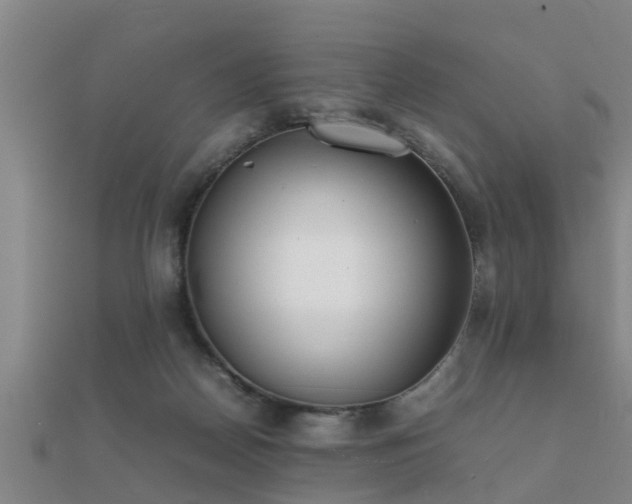 X0000112050170200908111358