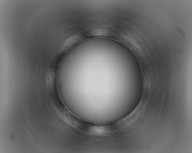 X0000112050171200908111358