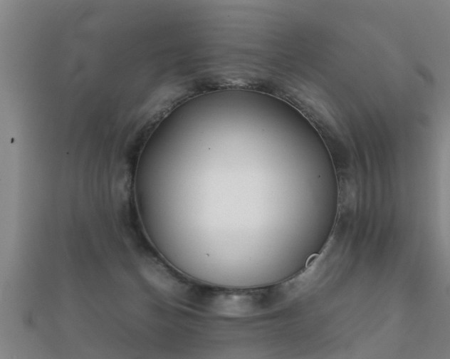 X0000112050174200908111358