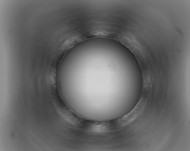 X0000112050175200908111358