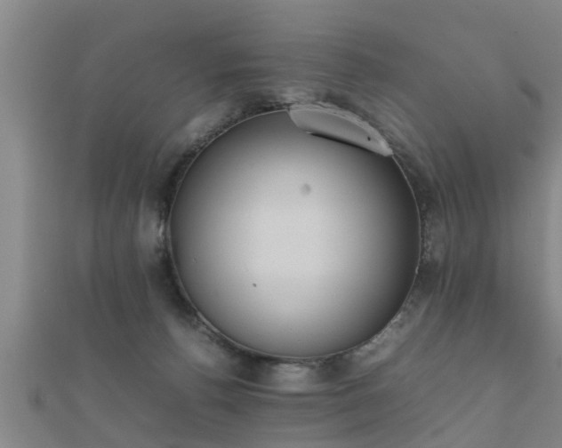 X0000112050176200908111358