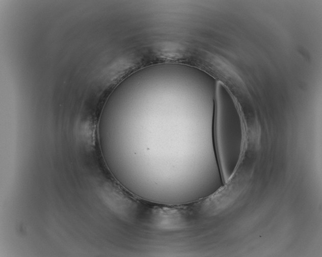 X0000112050180200908111358