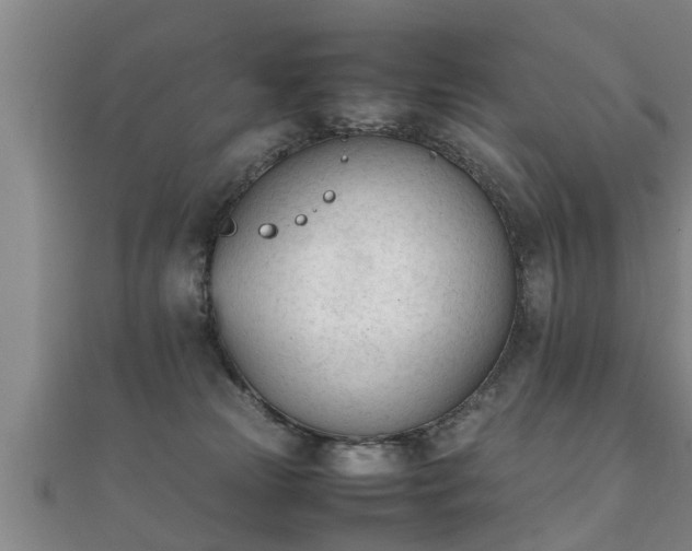 X0000112050181200908111358