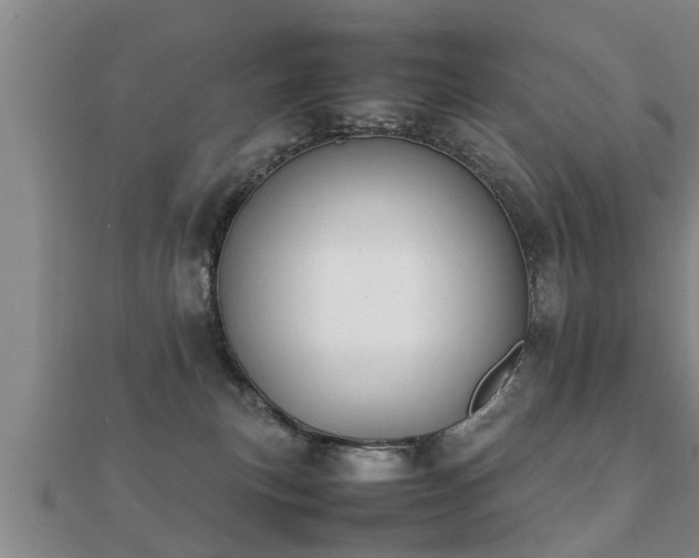 X0000112050183200908111358