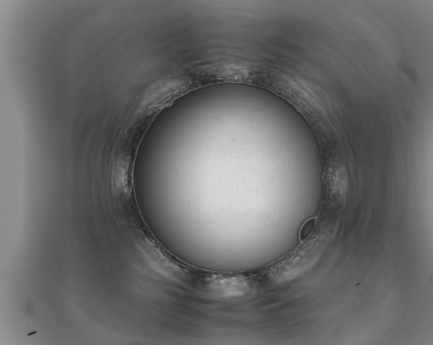 X0000112050185200908111358