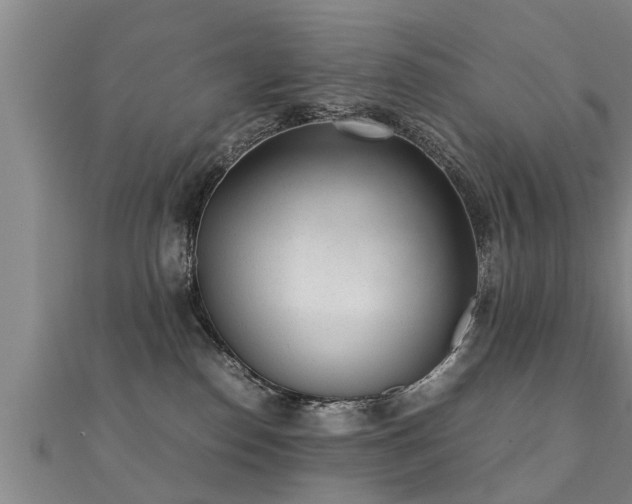 X0000112050186200908111358