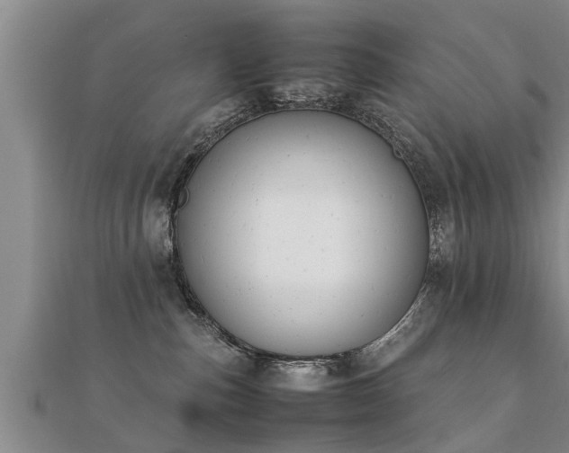 X0000112050187200908111358