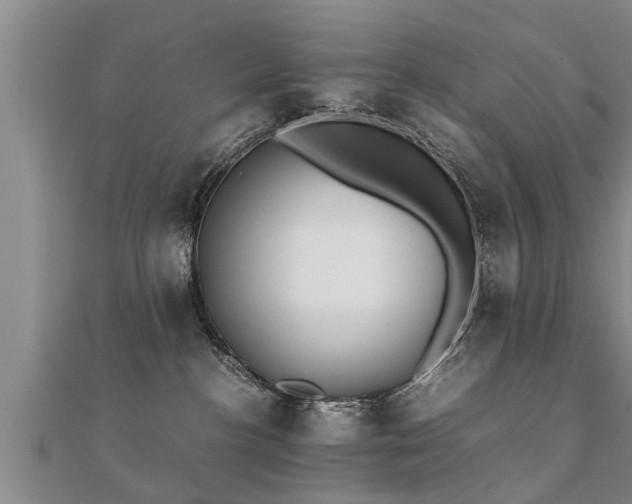 X0000112050188200908111358