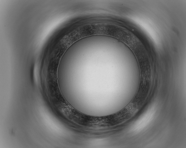 X0000112050189200908111358