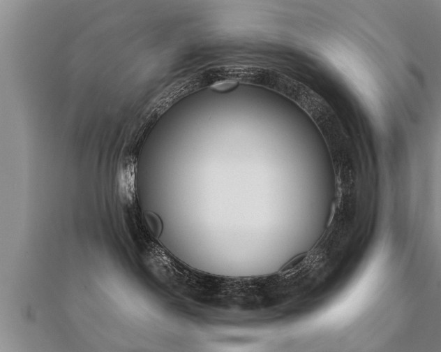 X0000112050190200908111358