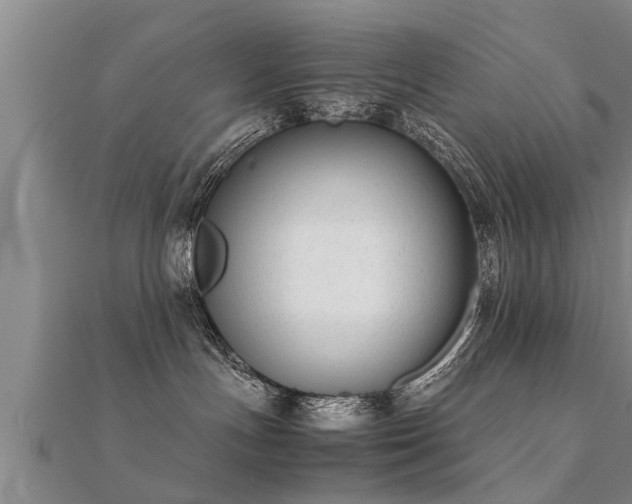 X0000112050191200908111358