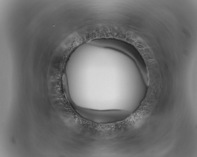 X0000112050192200908111358