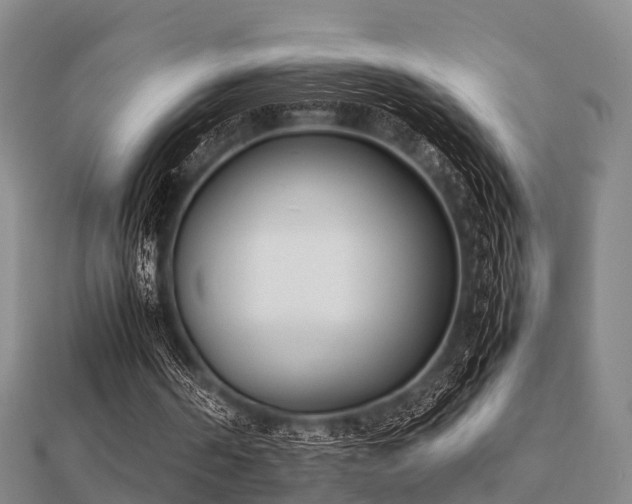 X0000112050194200908111358