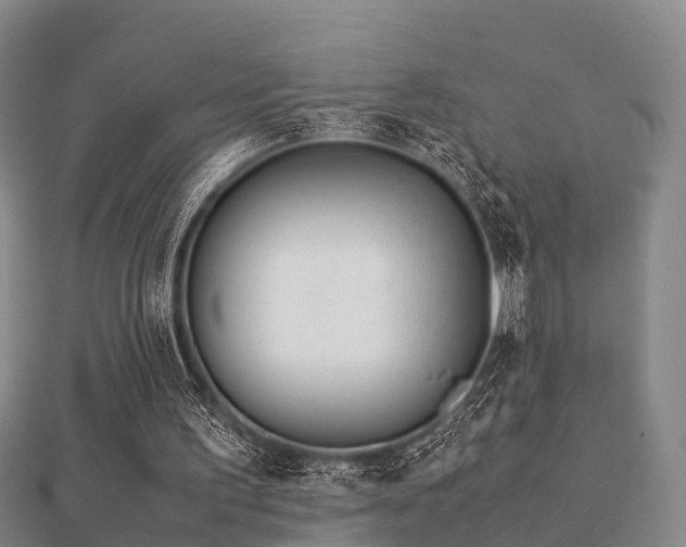 X0000112050195200908111358