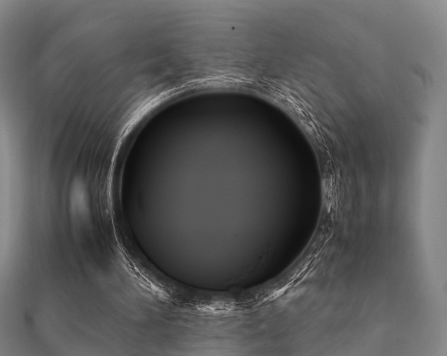 X0000112050196200908111358