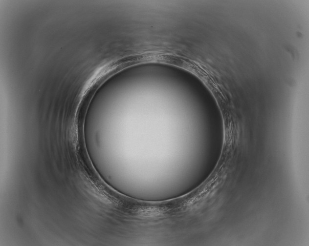 X0000112050198200908111357