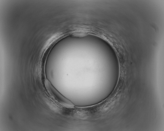 X0000112050199200908111357