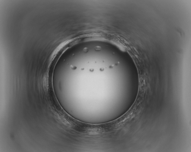 X0000112050200200908111357