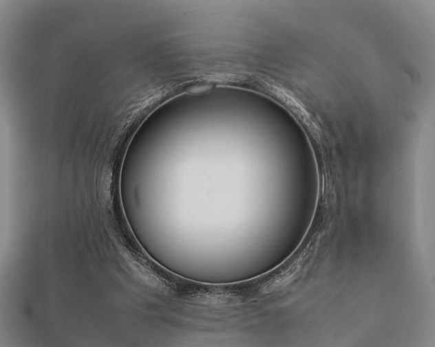 X0000112050201200908111357