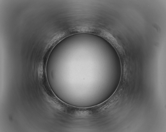 X0000112050202200908111357