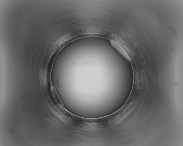 X0000112050203200908111357