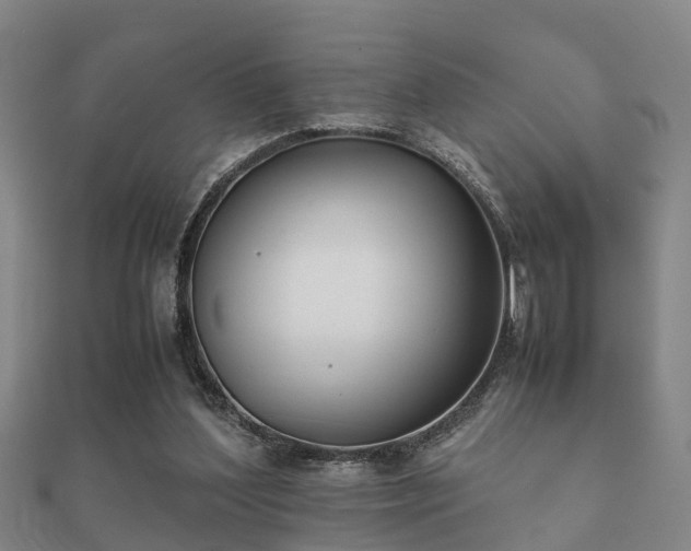 X0000112050204200908111357