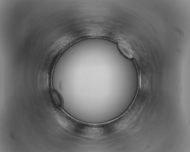 X0000112050205200908111357