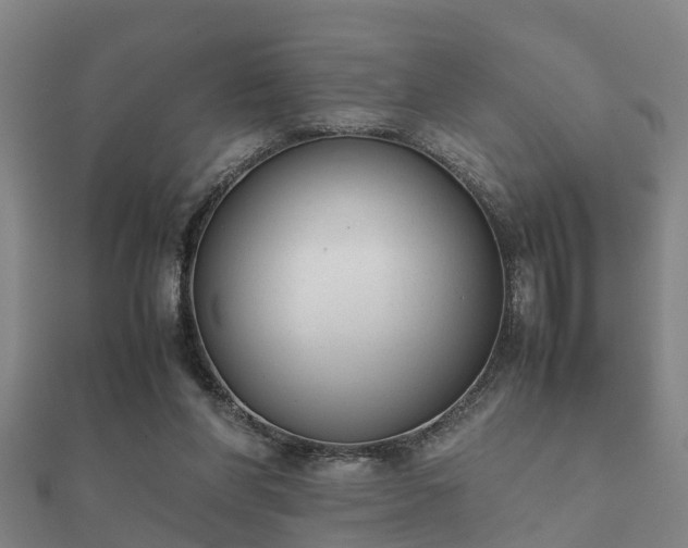 X0000112050206200908111357