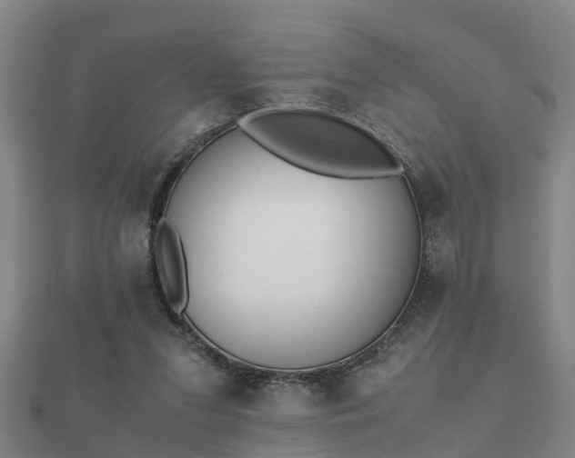 X0000112050207200908111357