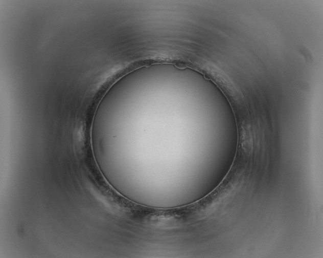 X0000112050208200908111357