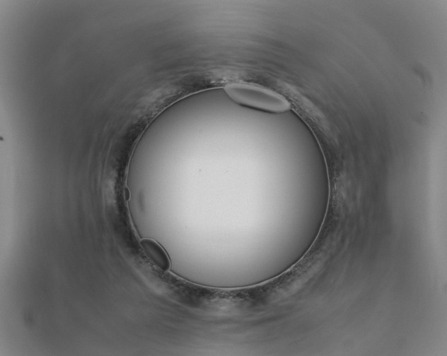 X0000112050209200908111357