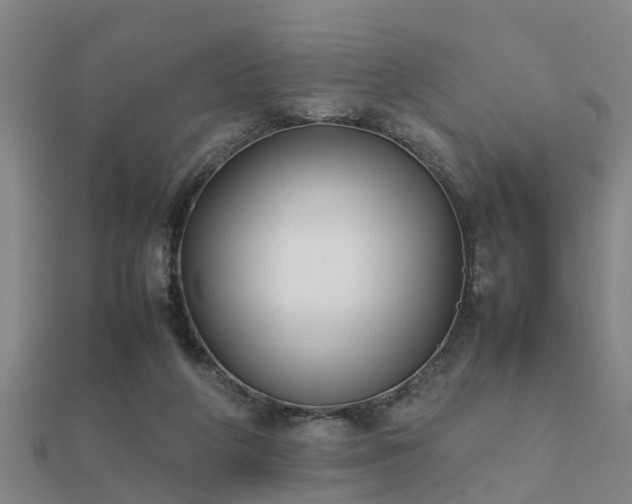 X0000112050210200908111357