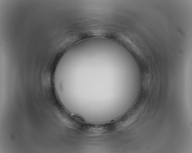 X0000112050213200908111357