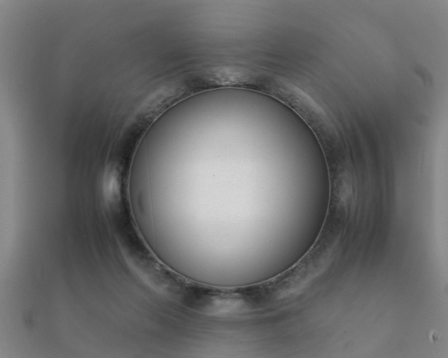 X0000112050214200908111357