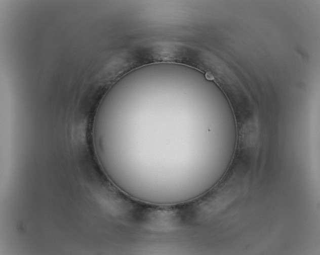 X0000112050217200908111357