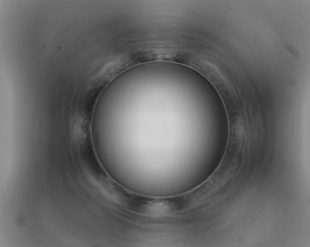 X0000112050218200908111357