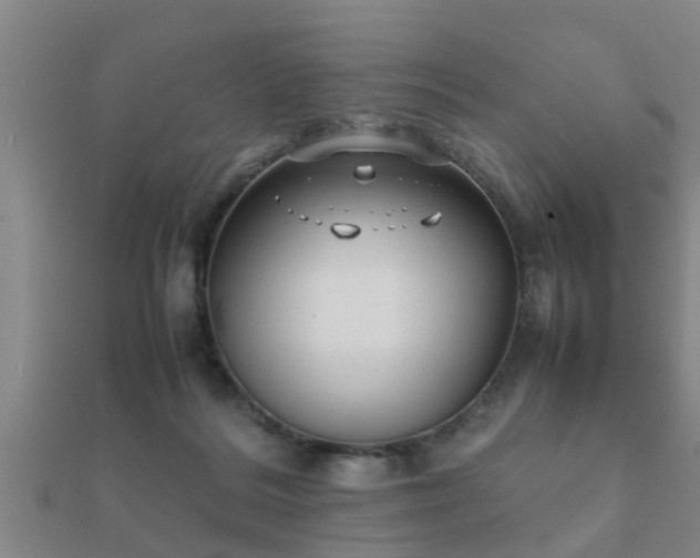 X0000112050220200908111357