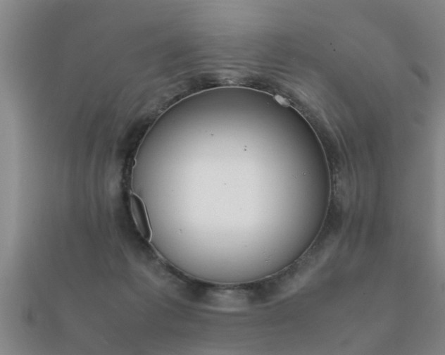 X0000112050221200908111357