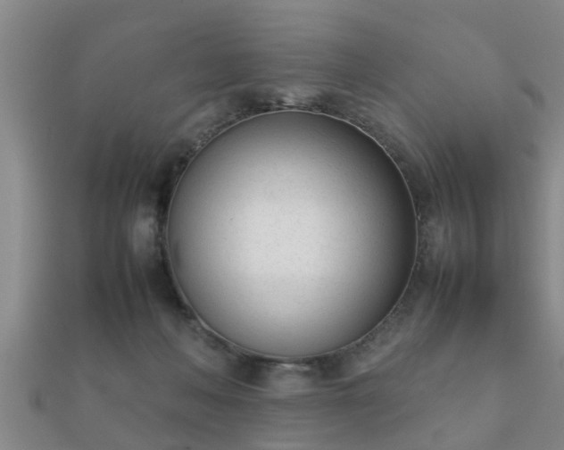 X0000112050222200908111357