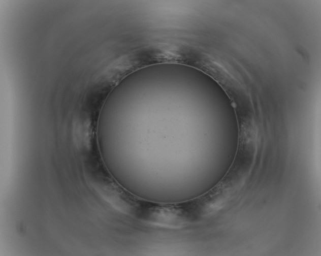 X0000112050223200908111357