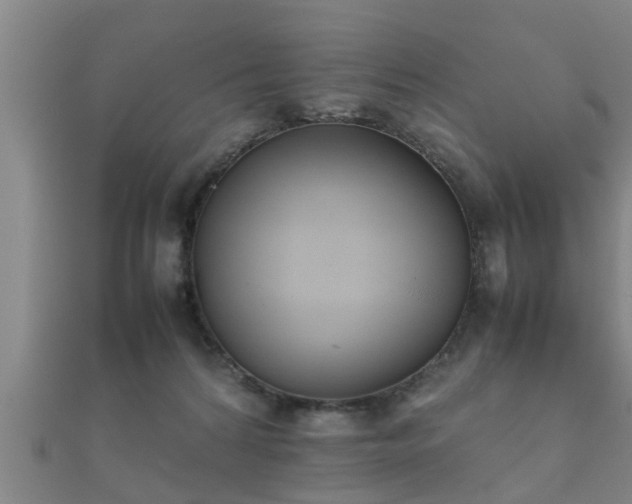 X0000112050224200908111357