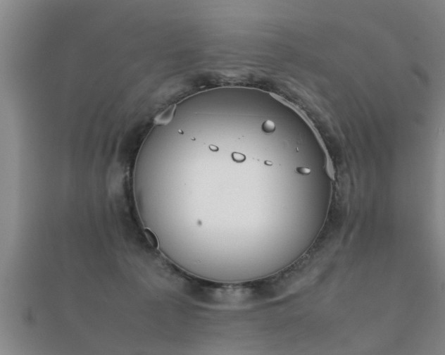 X0000112050225200908111357