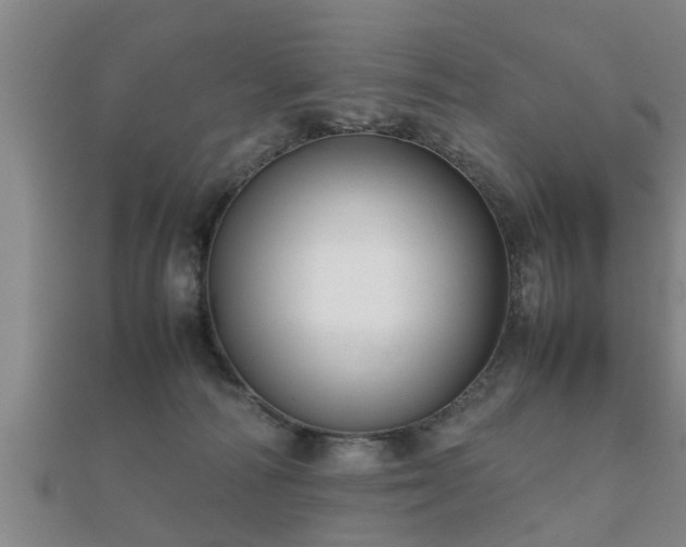 X0000112050226200908111357