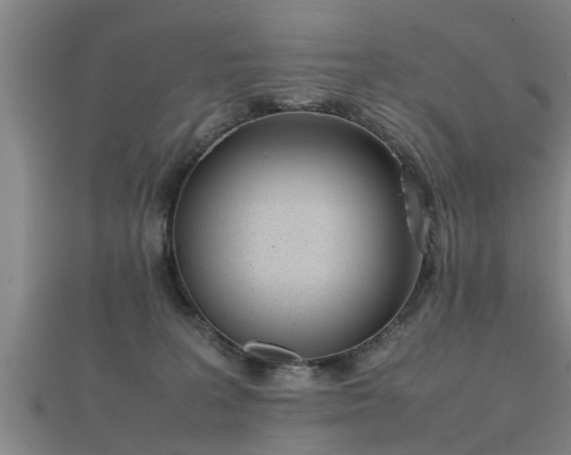 X0000112050227200908111357