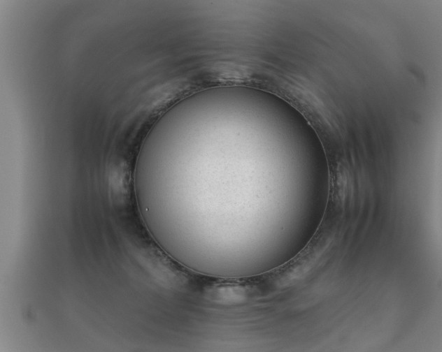 X0000112050228200908111357